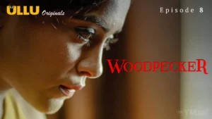 Woodpecker Episode 8